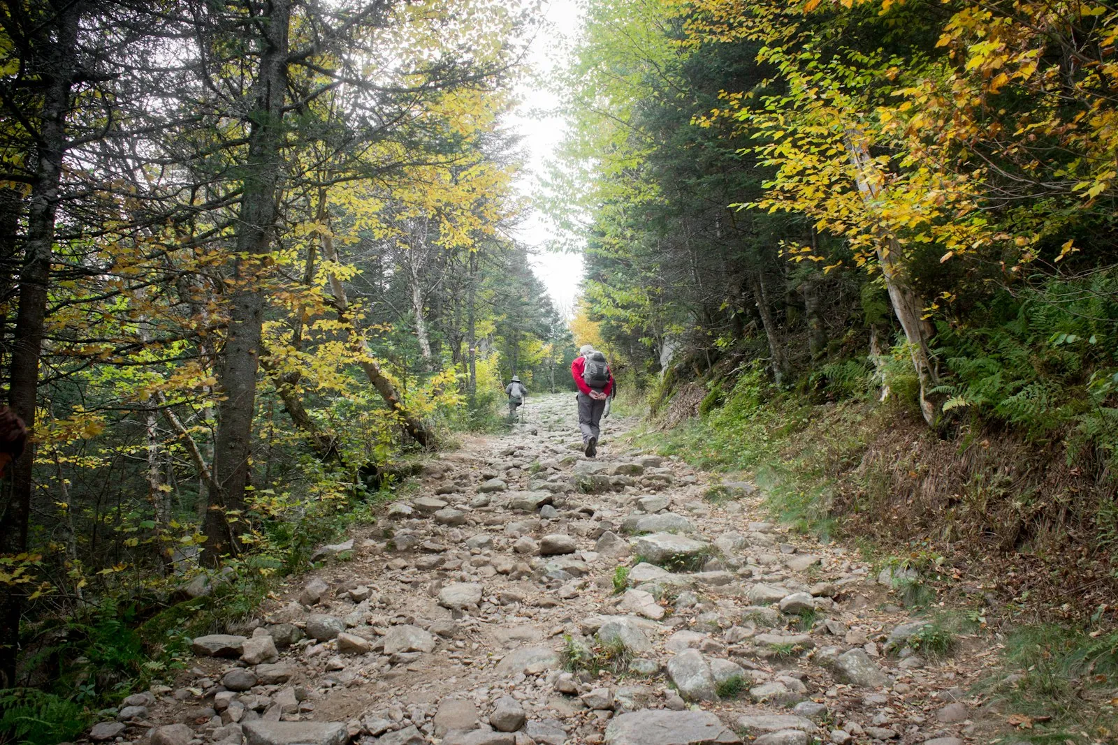 Traseu turistic spre Piatra Secuiului