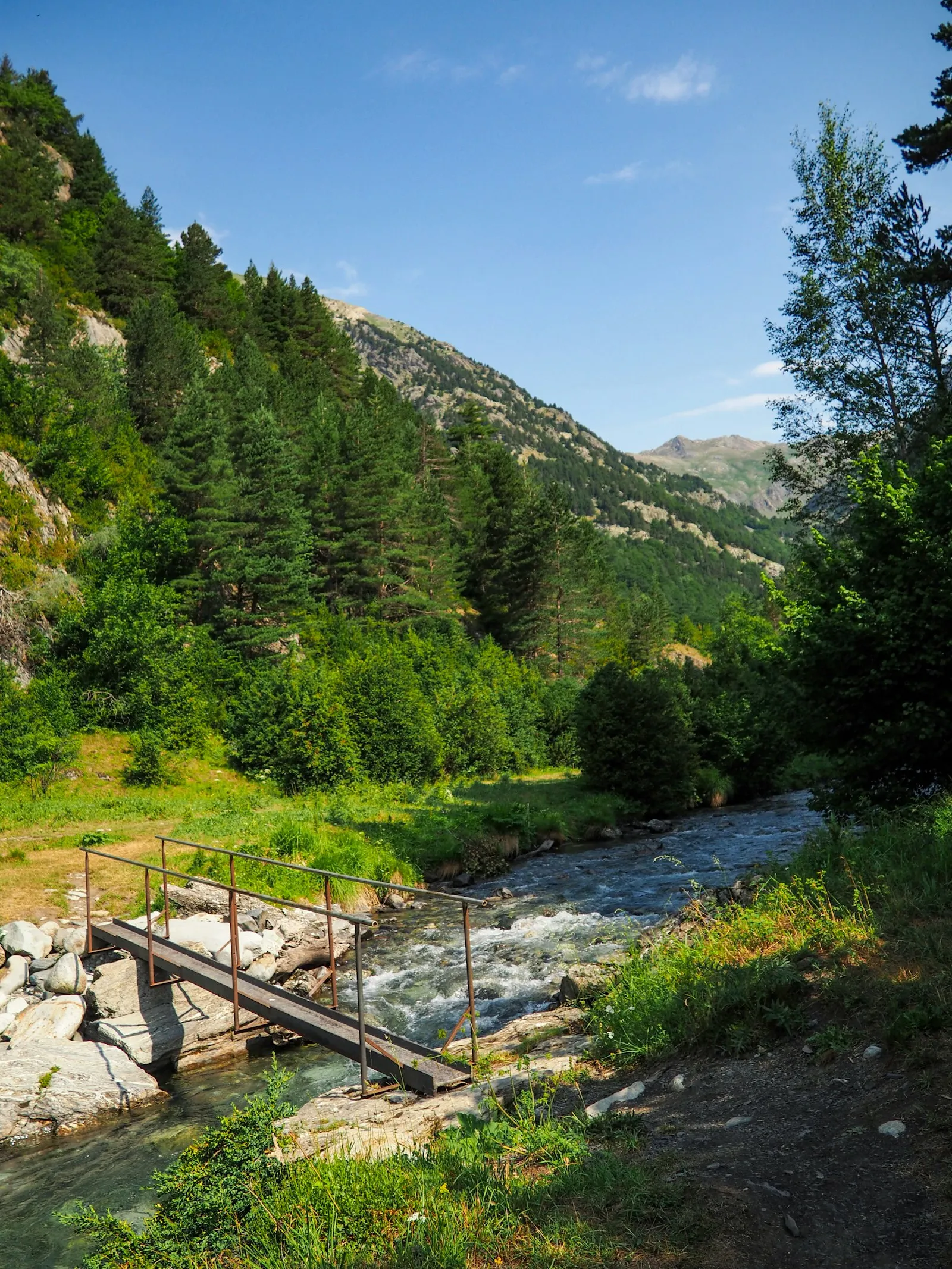 Pod peste râul din apropierea casei