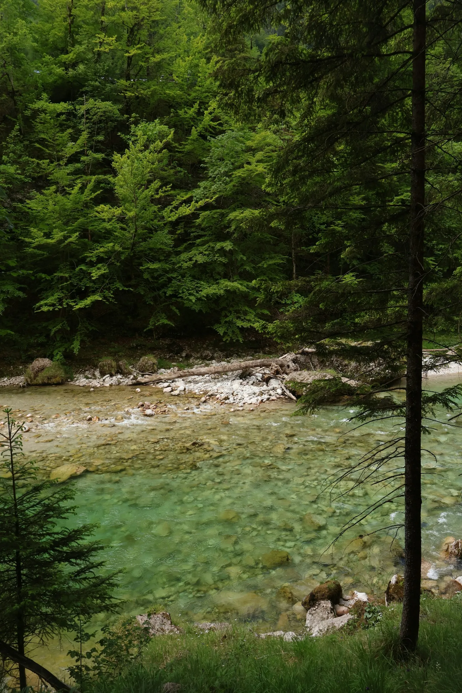Râul din valea de sub sat